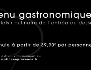 Chef à domicile repas gastronomique près d'Avignon