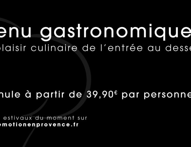 Chef à domicile repas gastronomique près d'Avignon